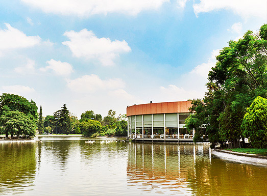 Del Bosque Restaurante